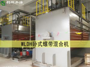 WLDH 臥式螺帶混合機